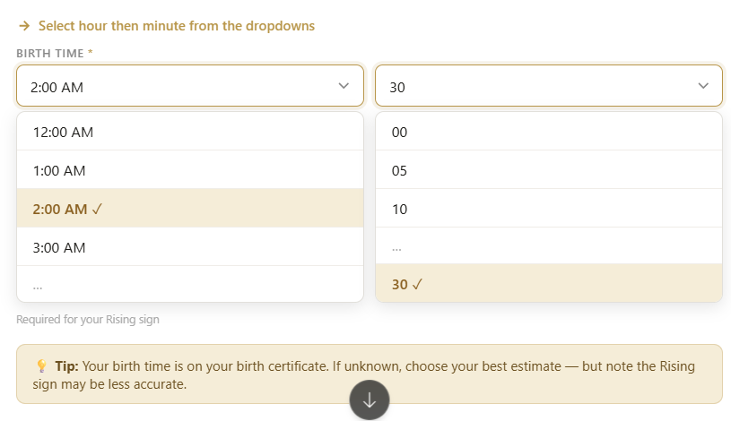 how to use Sun Moon Rising Sign Calculator step 4